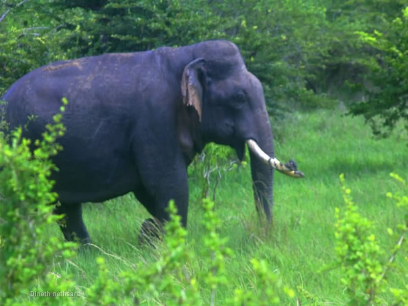 WhatsApp Image 2025-08-04 at 8.45.29 PM