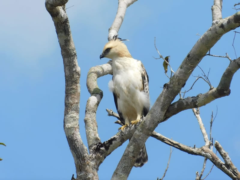 WhatsApp Image 2025-08-04 at 9.53.34 PM